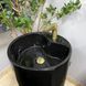 Умивальник (раковина) VBI AGRIENTO BLACK GLOSSY підлоговий VBI-019005 фото 4